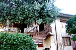 bed and breakfasts