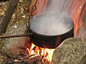 markets roast chestnuts
