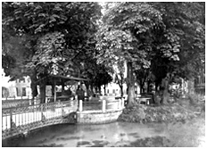 photos pescheria buranelli treviso fish markets