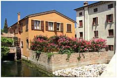 treviso image