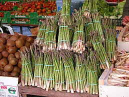 mostre asparagi treviso