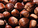 roast chestnuts festivals